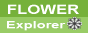 FlowerExplorer